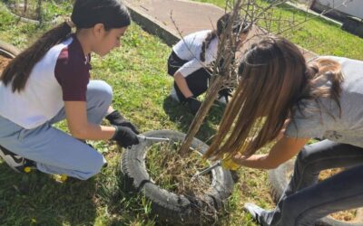 Kad se male ruke slože…