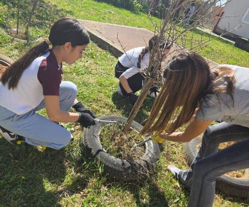 Kad se male ruke slože…